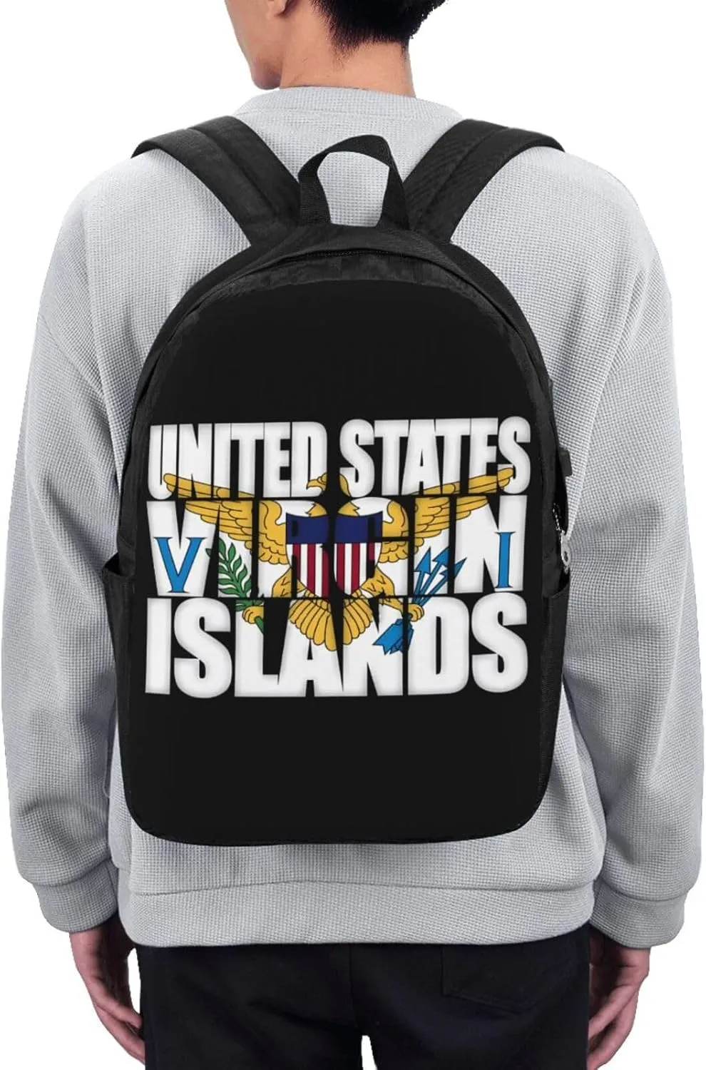American Virgin Islands Flag Eagle Laptop Backpacks Travel Backpack Casual Business Daypack Sport Rucksack Computer Bag Fits up to 17 Inch Notebook with USB Port
