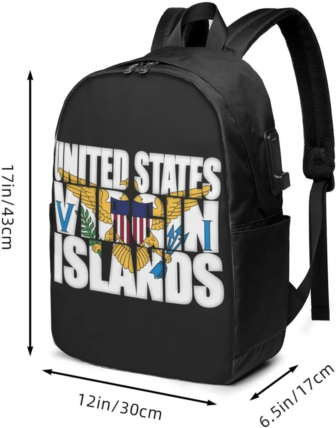 American Virgin Islands Flag Eagle Laptop Backpacks Travel Backpack Casual Business Daypack Sport Rucksack Computer Bag Fits up to 17 Inch Notebook with USB Port