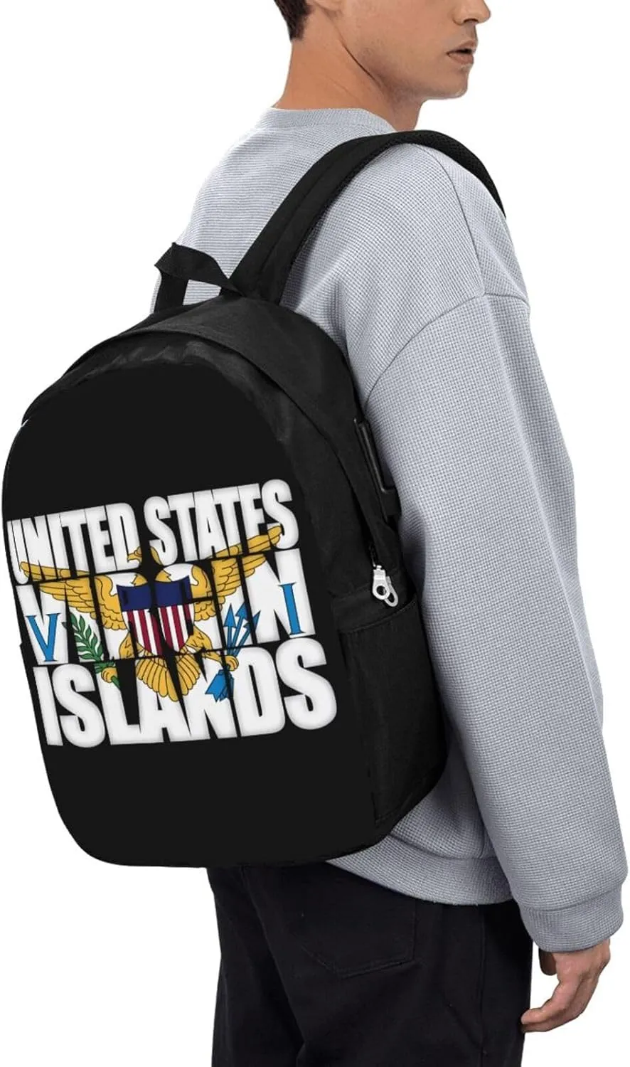 American Virgin Islands Flag Eagle Laptop Backpacks Travel Backpack Casual Business Daypack Sport Rucksack Computer Bag Fits up to 17 Inch Notebook with USB Port