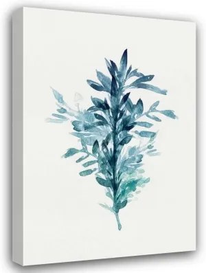 ArtDirect Botanical III 13x18 Gallery Wrapped Canvas Museum Art by Isabelle Z