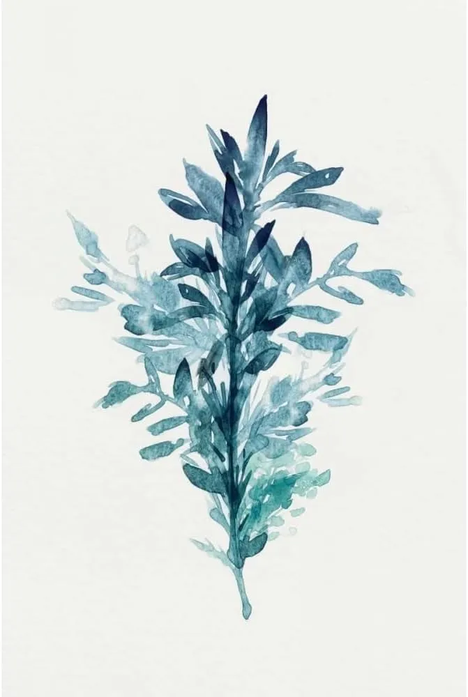 ArtDirect Botanical III 13x18 Gallery Wrapped Canvas Museum Art by Isabelle Z