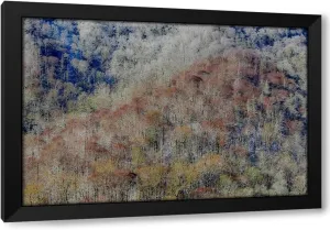 ArtDirect USA- Tennessee. Great Smoky Mountains National Park with late springtime snow Custom Framed Art Print Giclee Print or Canvas Options with Various Sizes and Customization by Gulin, Darrell (549573)