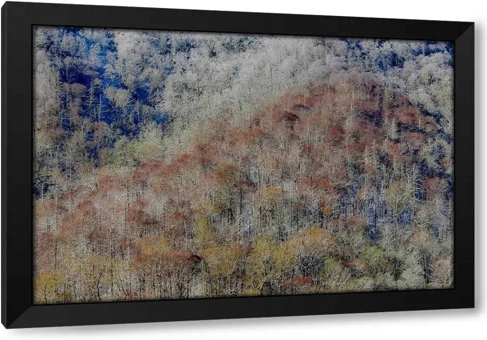 ArtDirect USA- Tennessee. Great Smoky Mountains National Park with late springtime snow Custom Framed Art Print Giclee Print or Canvas Options with Various Sizes and Customization by Gulin, Darrell (549573)