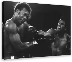 Big George Foreman Movie Poster Canvas Poster Wall Art Decor Print Picture Paintings for Living Room Bedroom Decoration Frame: 12x18inch(30x45cm)