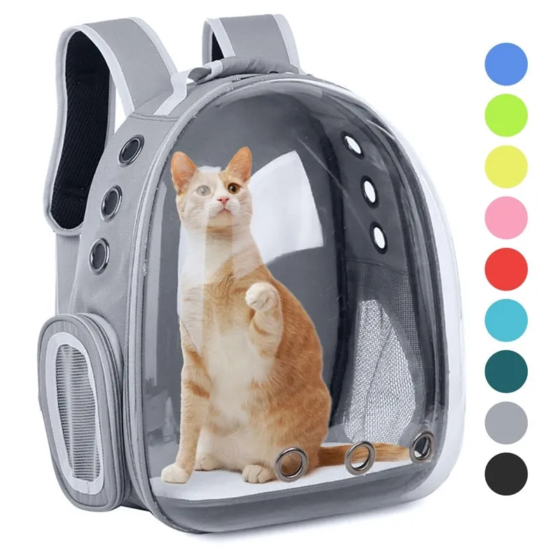 Breathable Portable Transparent Backpack