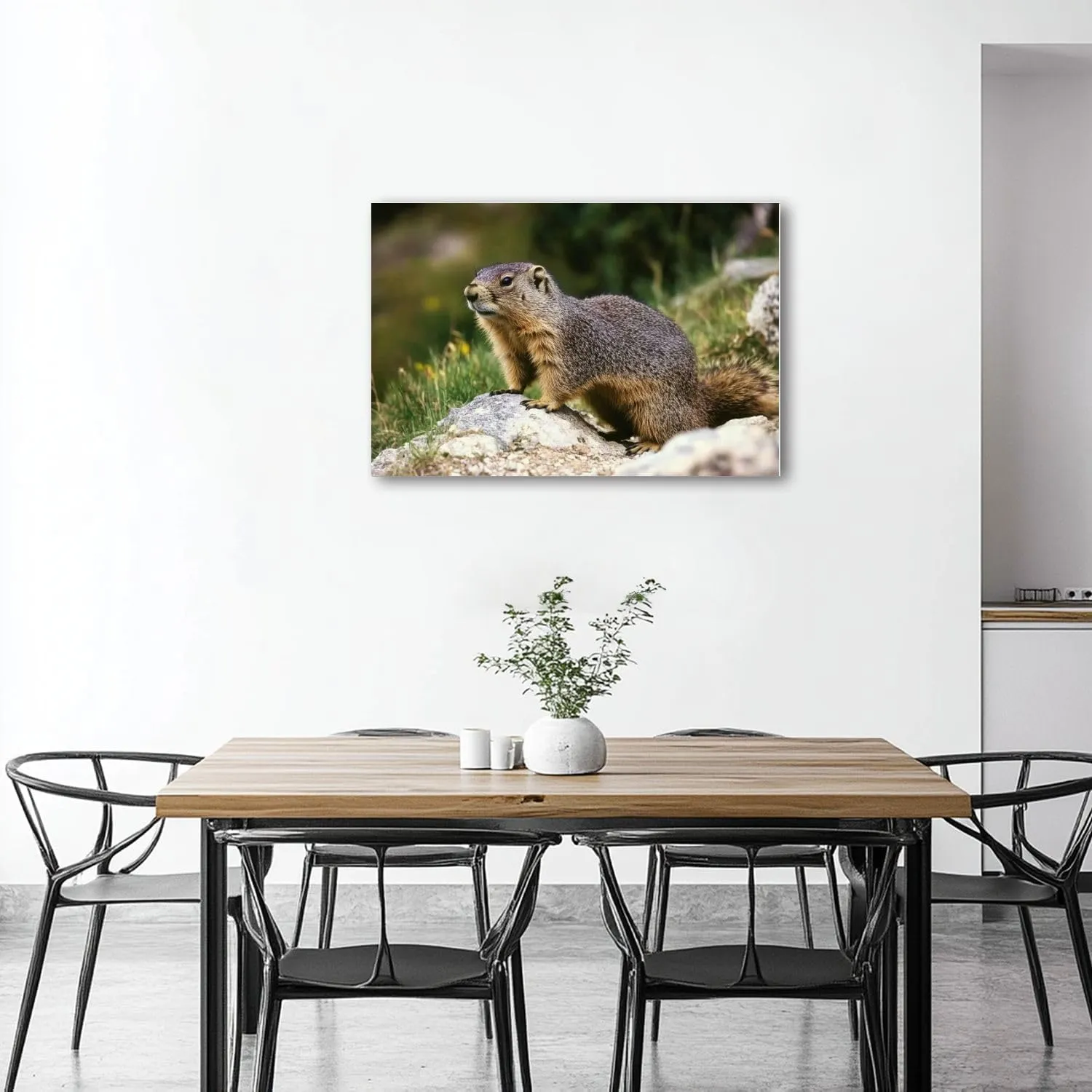 CHAUSSUREBAR Large Canvas Wall Art Alpine Marmot marmota marmota Adult standing Rocks French Alps Canvas Art Prints Pictures Wall Decor Living Room Wall Paintings for Bedroom Bathroom 20" x 32"