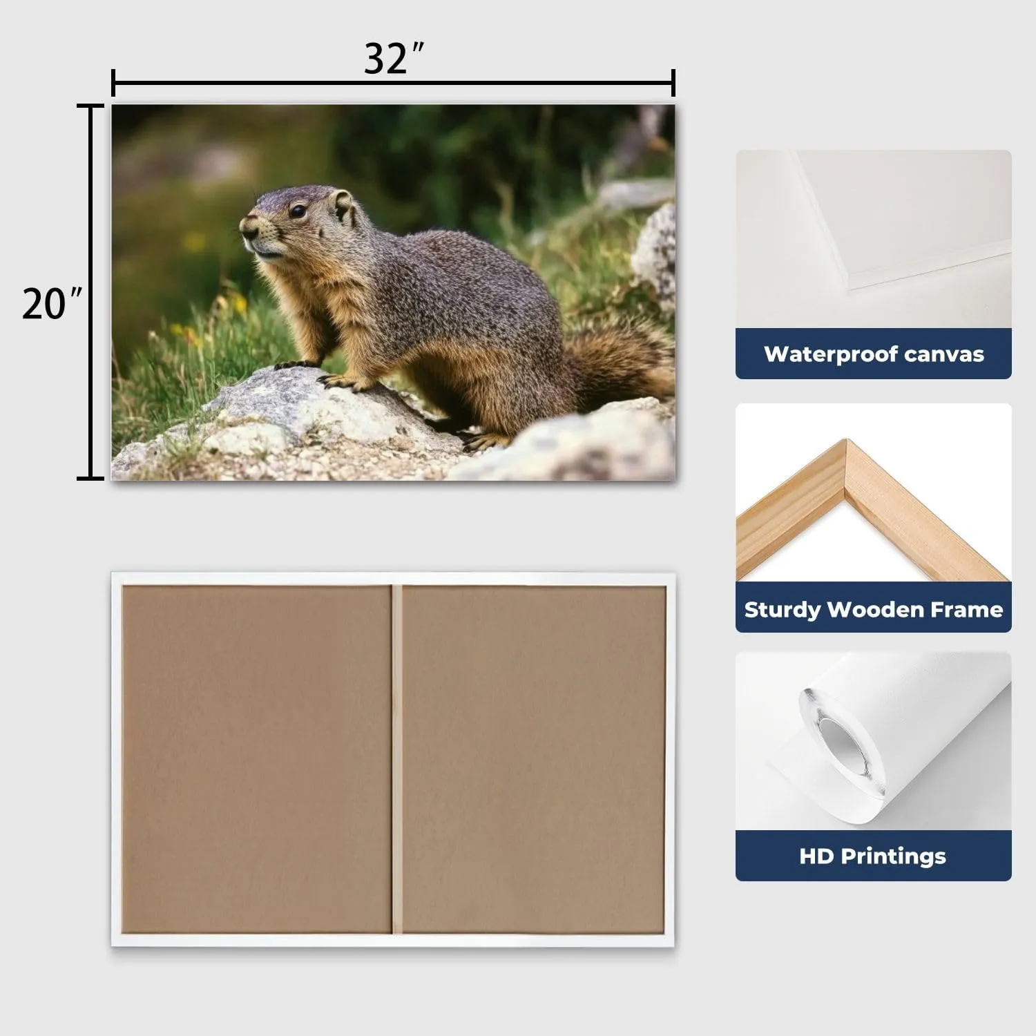 CHAUSSUREBAR Large Canvas Wall Art Alpine Marmot marmota marmota Adult standing Rocks French Alps Canvas Art Prints Pictures Wall Decor Living Room Wall Paintings for Bedroom Bathroom 20" x 32"
