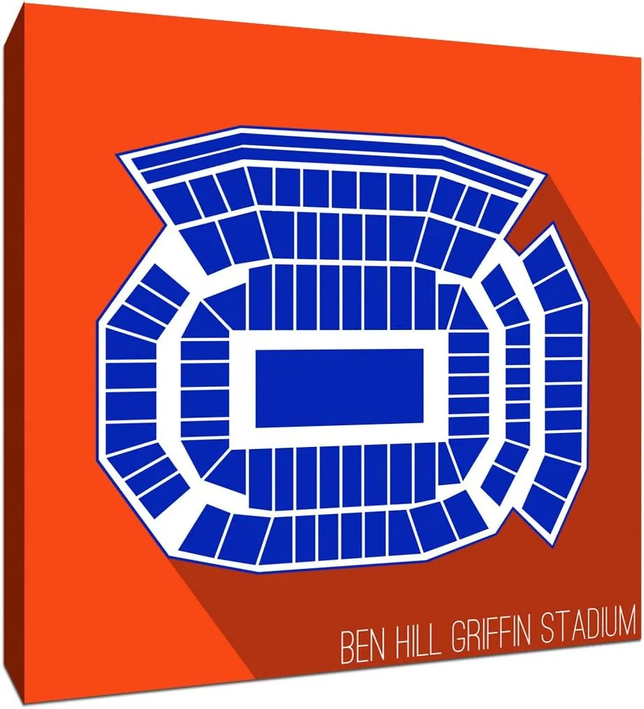 Florida - Ben Hill Griffin Stadium - College Football Seating Map - 24x24 Gallery Wrapped Canvas Wall Art