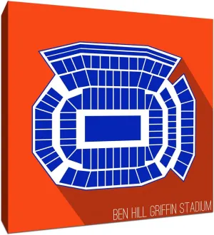 Florida - Ben Hill Griffin Stadium - College Football Seating Map - 24x24 Gallery Wrapped Canvas Wall Art