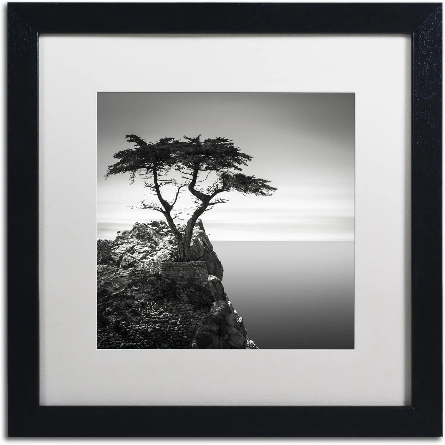 Framed Wall Art - Dave MacVicar 'The Lone Cypress' Wall Decor with Matted Frame by Trademark Fine Art