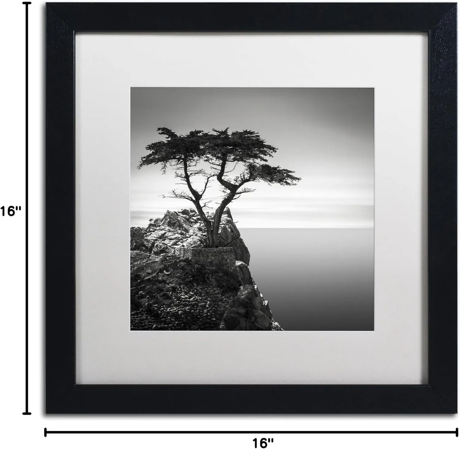 Framed Wall Art - Dave MacVicar 'The Lone Cypress' Wall Decor with Matted Frame by Trademark Fine Art