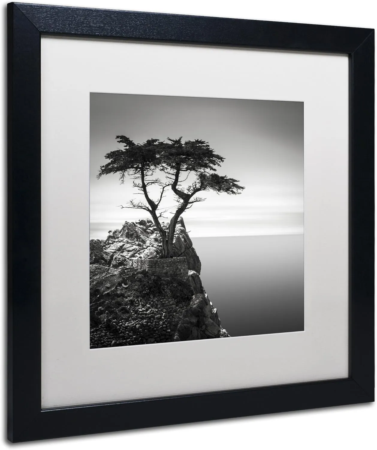 Framed Wall Art - Dave MacVicar 'The Lone Cypress' Wall Decor with Matted Frame by Trademark Fine Art