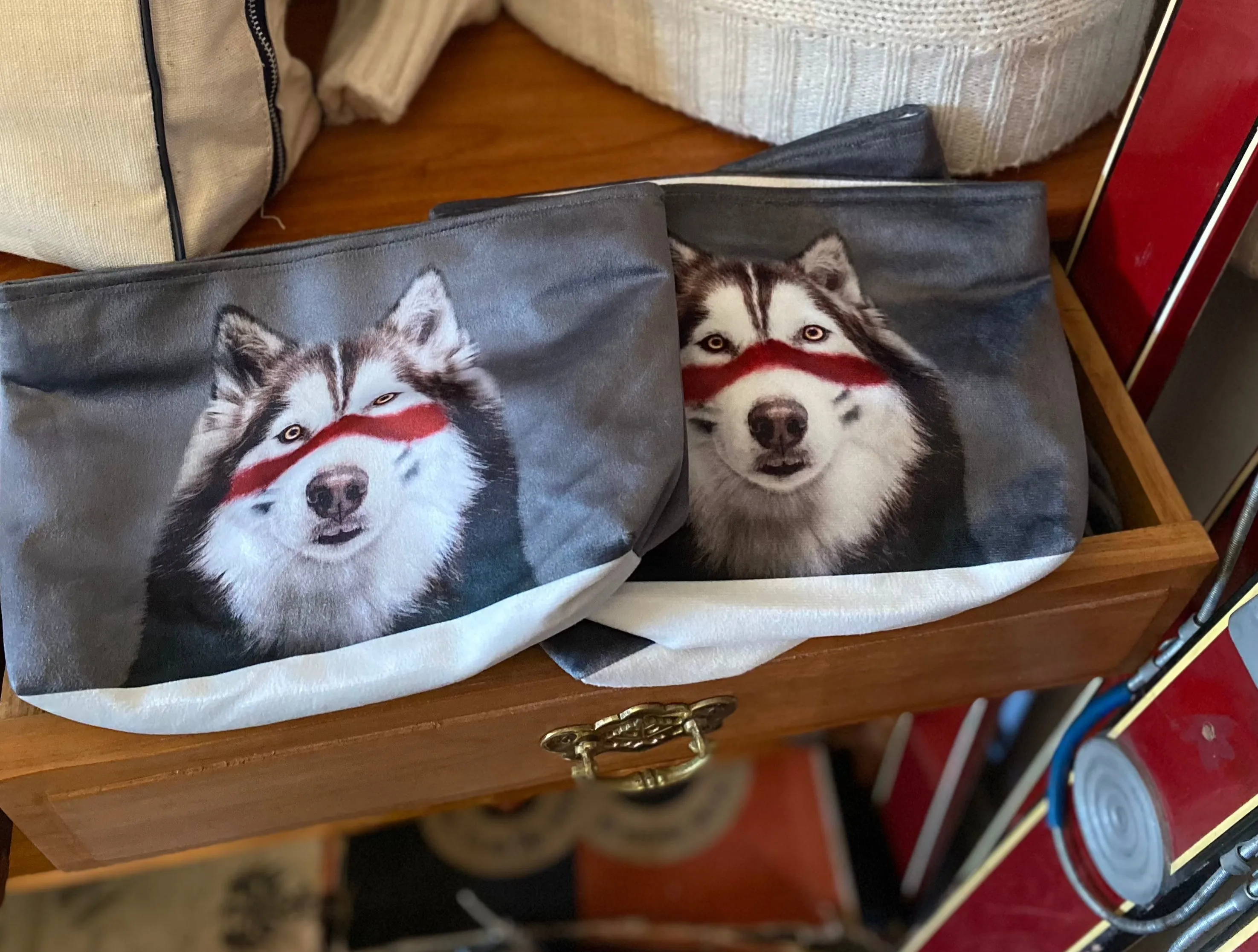 Huski Dog Pouch
