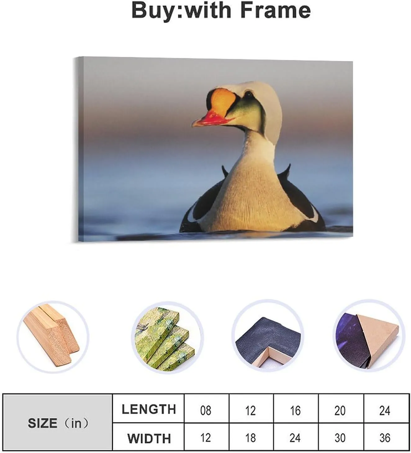 King Eider Duck Nature Lake Room Aesthetics Posters Canvas Posters Bedroom Decoration Sports Office Decoration Gifts Wall Art Decoration Printing Posters 12x18inch(30x45cm)
