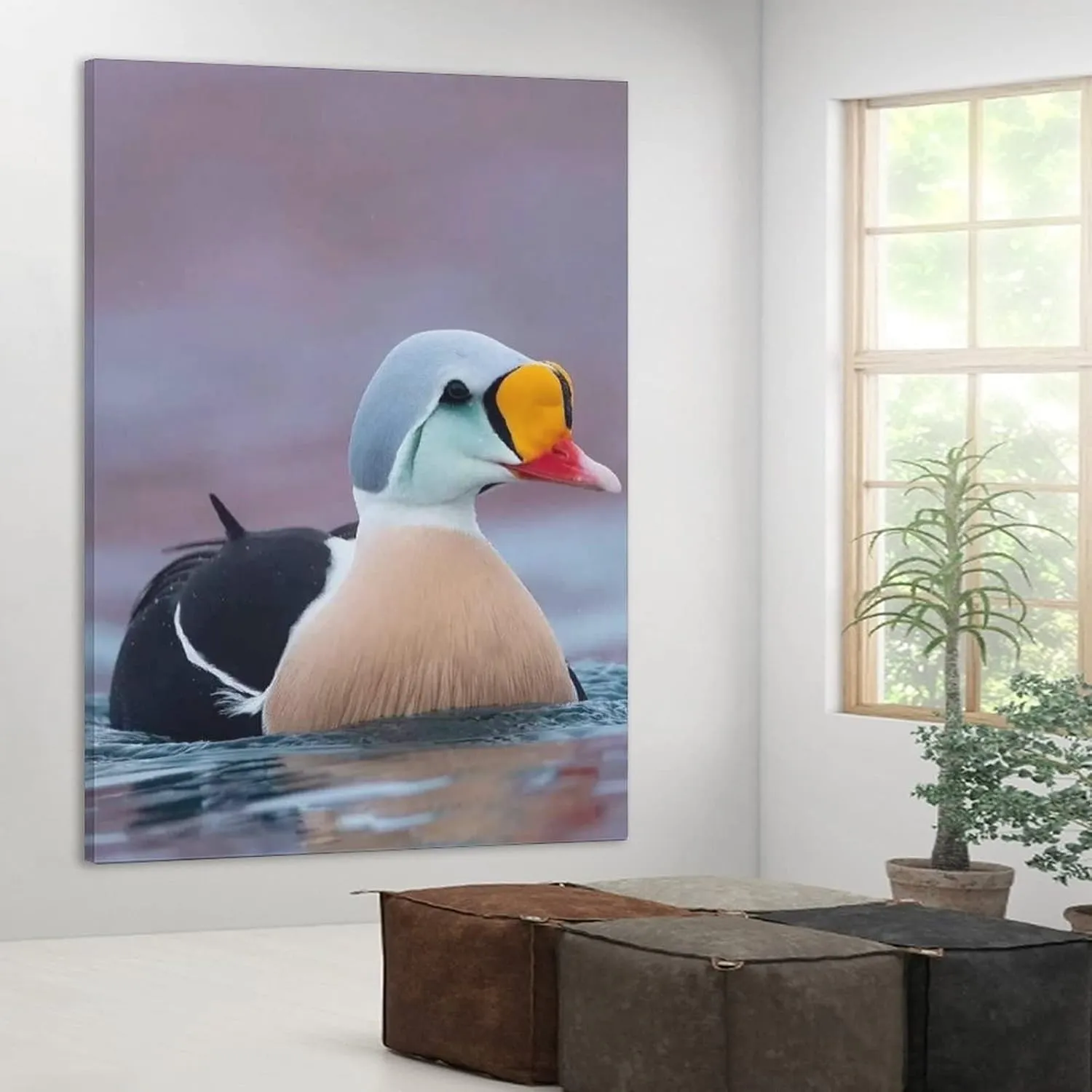 King Eider Duck Water Swimming Canvas Poster Bedroom Decor Sports Landscape Office Room Decor Gift,Canvas Poster Wall Art Decor Print Picture Paintings for Living Room Bedroom Decoration 12x18inchs(30