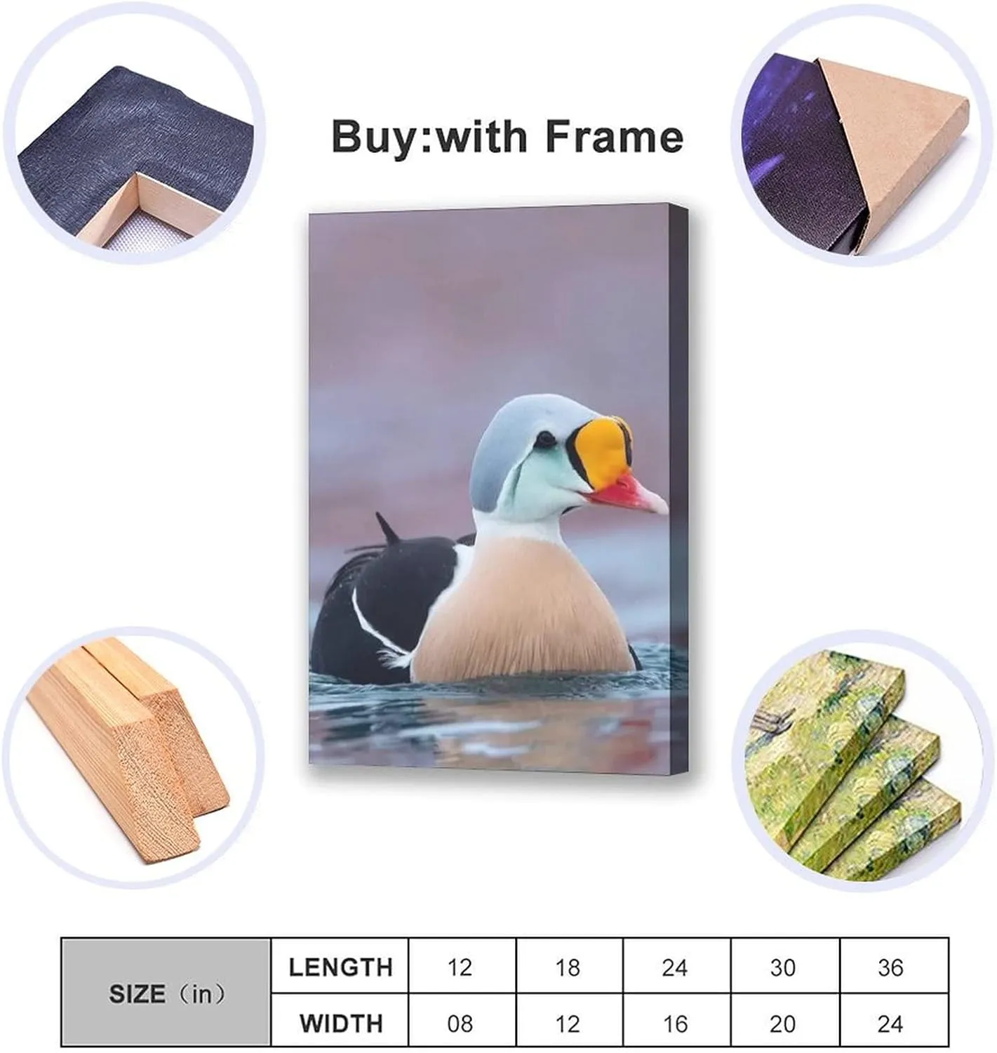 King Eider Duck Water Swimming Canvas Poster Bedroom Decor Sports Landscape Office Room Decor Gift,Canvas Poster Wall Art Decor Print Picture Paintings for Living Room Bedroom Decoration 12x18inchs(30