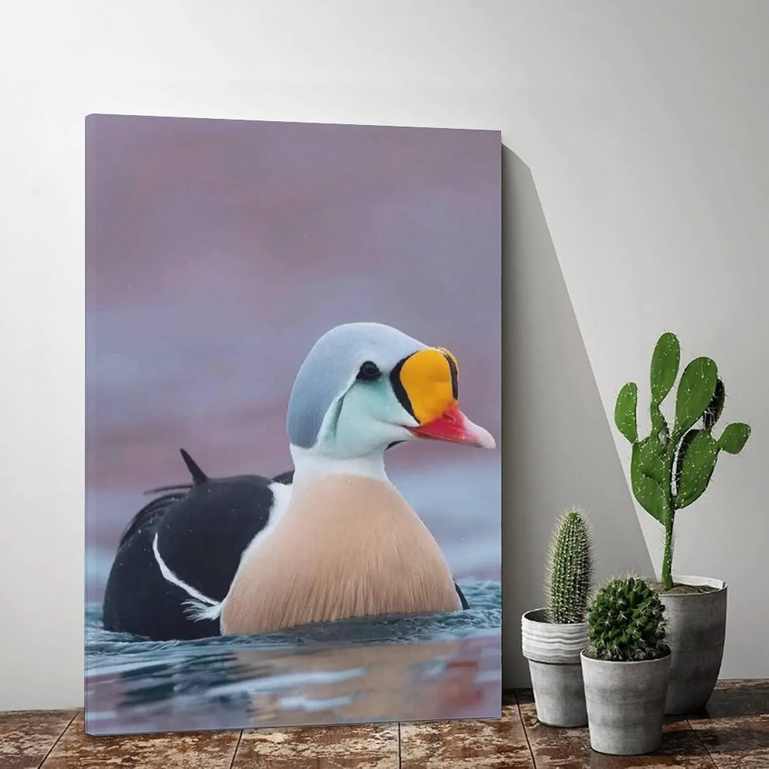 King Eider Duck Water Swimming Canvas Poster Bedroom Decor Sports Landscape Office Room Decor Gift,Canvas Poster Wall Art Decor Print Picture Paintings for Living Room Bedroom Decoration 12x18inchs(30