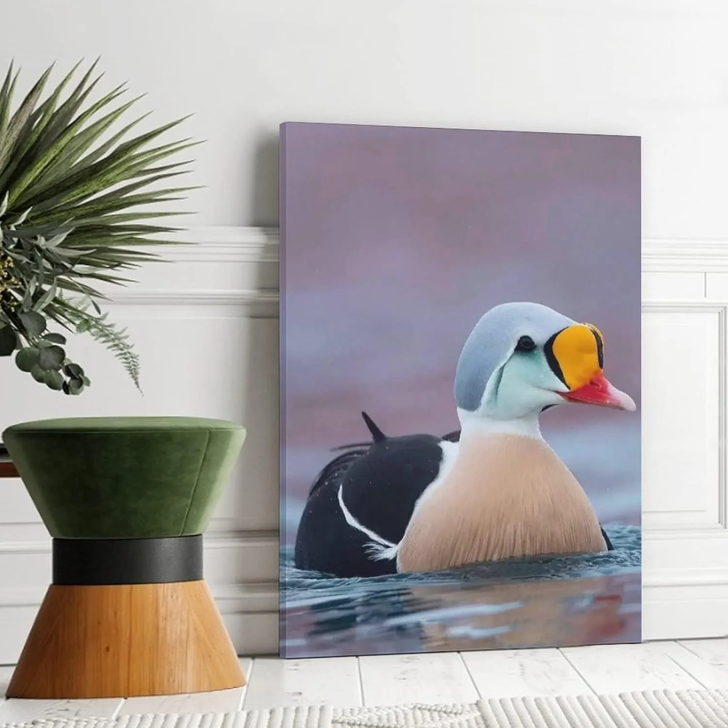 King Eider Duck Water Swimming Canvas Poster Bedroom Decor Sports Landscape Office Room Decor Gift,Canvas Poster Wall Art Decor Print Picture Paintings for Living Room Bedroom Decoration 12x18inchs(30