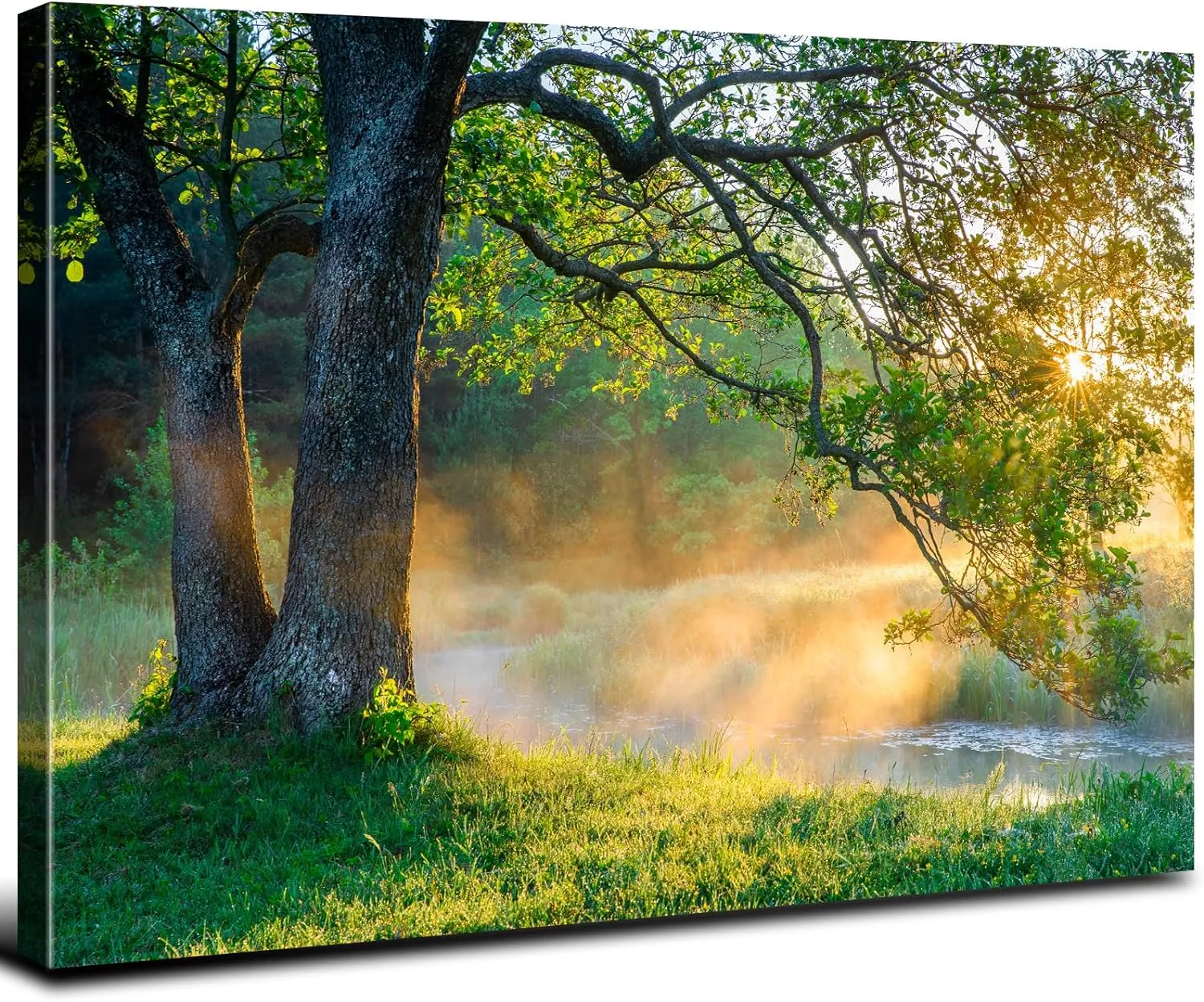 Large Forest Canvas Wall Art for Living Room Green Nature Landscape Pictures Sunlight Mountain Scenery Wall Decor Natural Wilderness Plant Tree Painting Artwork Bedroom Office Home Decorations 32x48”