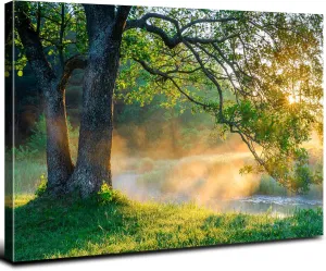 Large Forest Canvas Wall Art for Living Room Green Nature Landscape Pictures Sunlight Mountain Scenery Wall Decor Natural Wilderness Plant Tree Painting Artwork Bedroom Office Home Decorations 32x48”