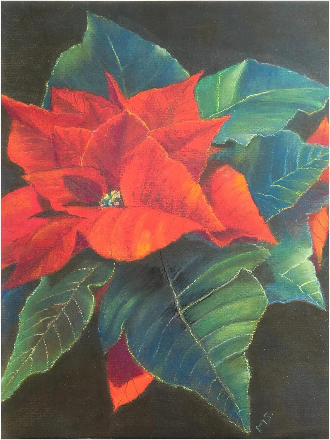 Margo Starkey 'Poinsettia, 2022' Canvas Art - 24 x 32 Inches