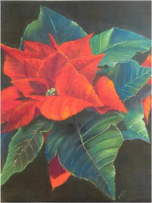 Margo Starkey 'Poinsettia, 2022' Canvas Art - 24 x 32 Inches