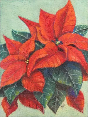 Margo Starkey 'Poinsettia's, 2022' Canvas Art - 14 x 19 Inches
