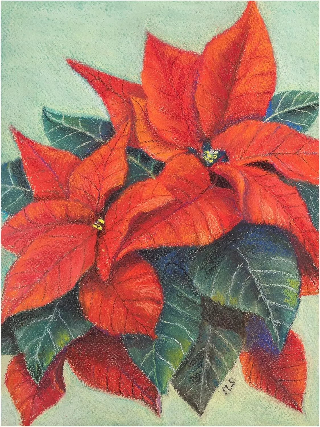 Margo Starkey 'Poinsettia's, 2022' Canvas Art - 14 x 19 Inches