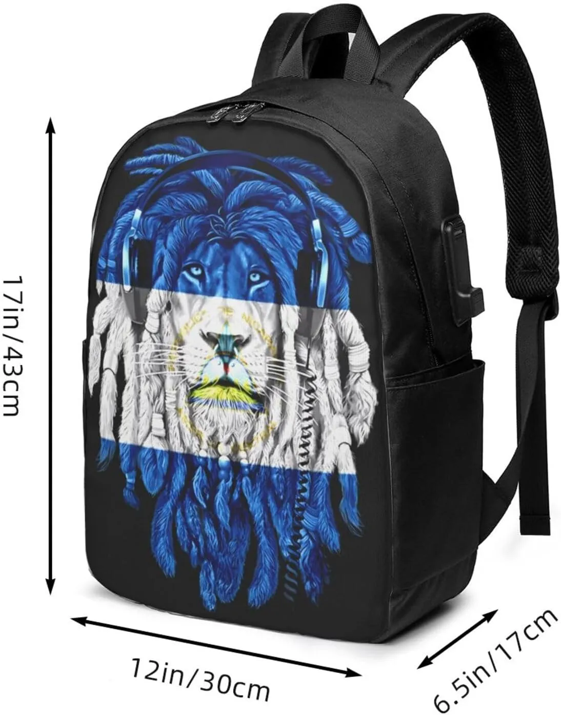 Nicaragua Flag Lion Laptop Backpacks Travel Backpack Casual Business Daypack Sport Rucksack Computer Bag Fits up to 17 Inch Notebook with USB Port