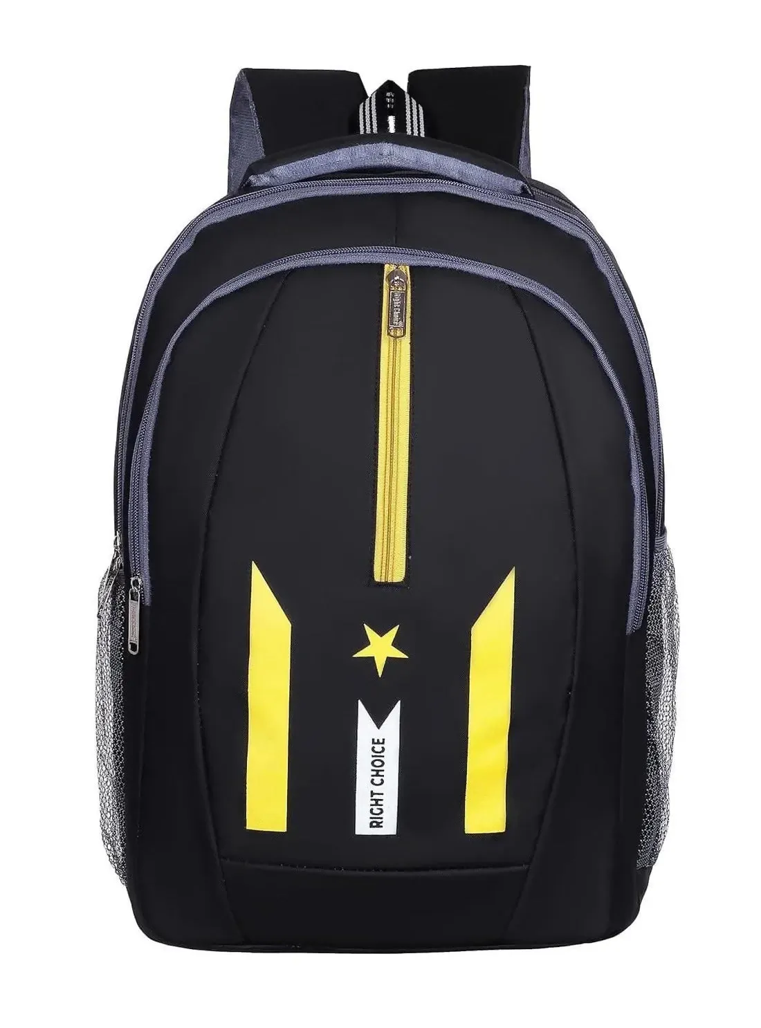 Rightchoice Large Laptop Backpack (Multi-Colour , 45L)