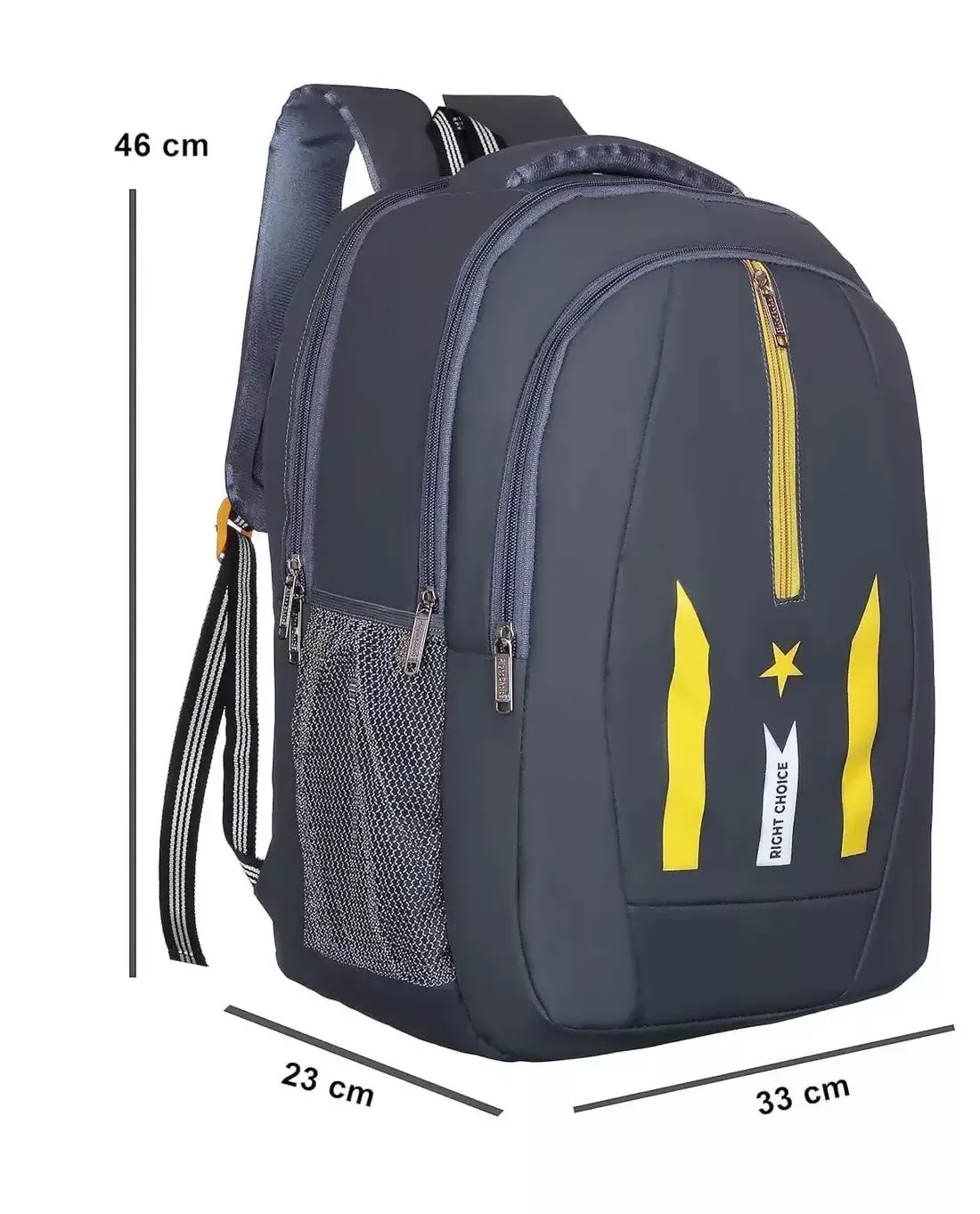 Rightchoice Large Laptop Backpack (Multi-Colour , 45L)