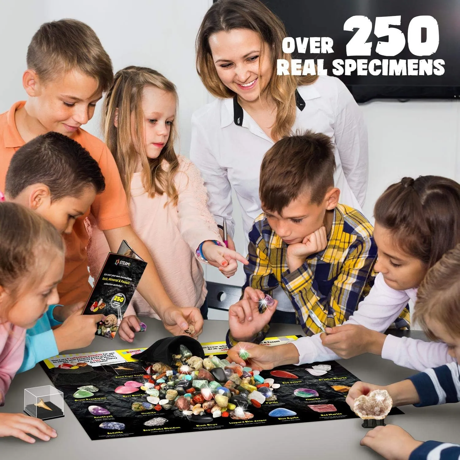 Rocks Minerals & Fossils Collection for Kids 250  Real Gemstones and Crystals Rock Identification Kit Includes Display Case, Genuine Fossils, Geodes Great Geology, Science Gift for Boys & Girls