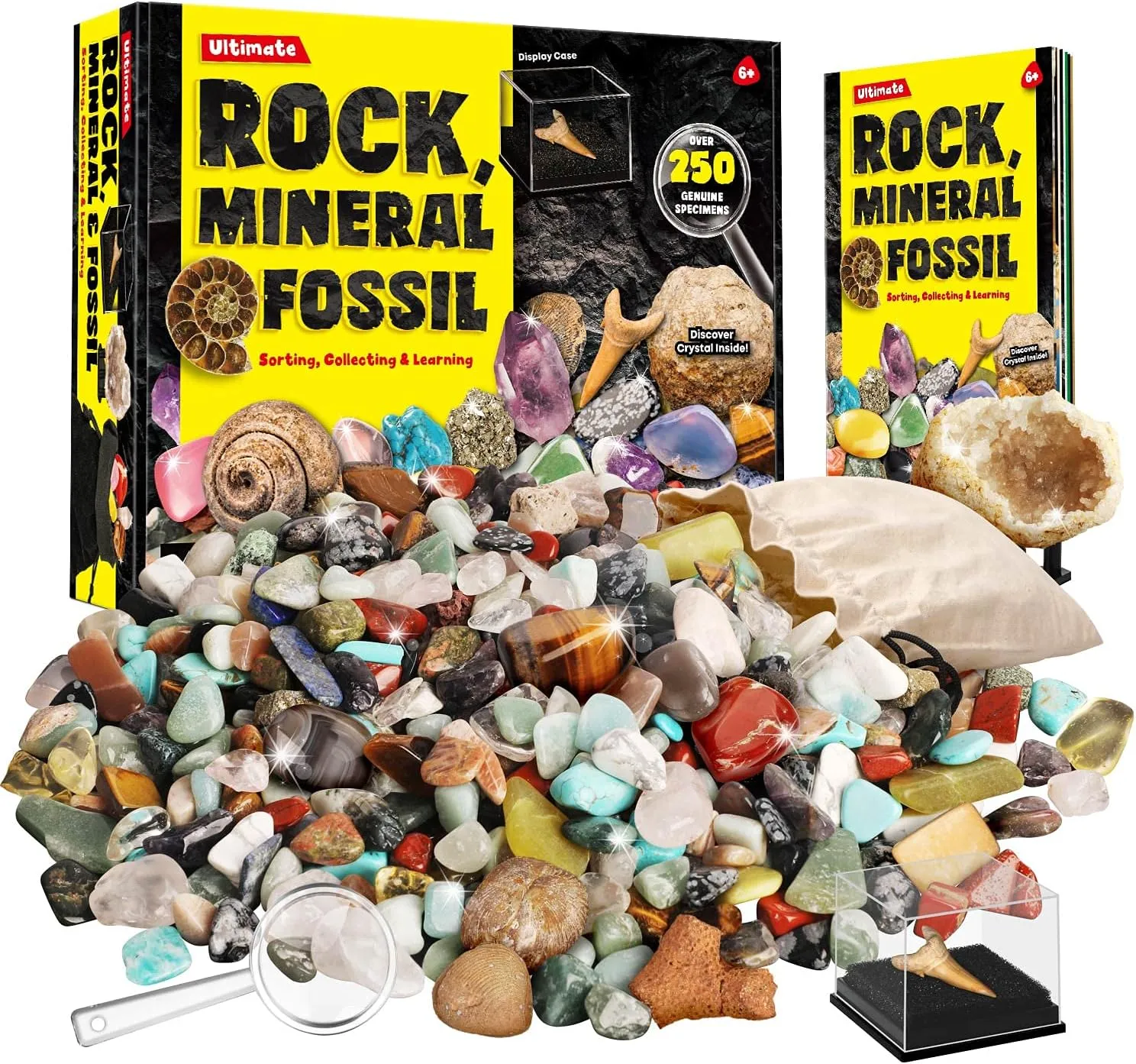 Rocks Minerals & Fossils Collection for Kids 250  Real Gemstones and Crystals Rock Identification Kit Includes Display Case, Genuine Fossils, Geodes Great Geology, Science Gift for Boys & Girls