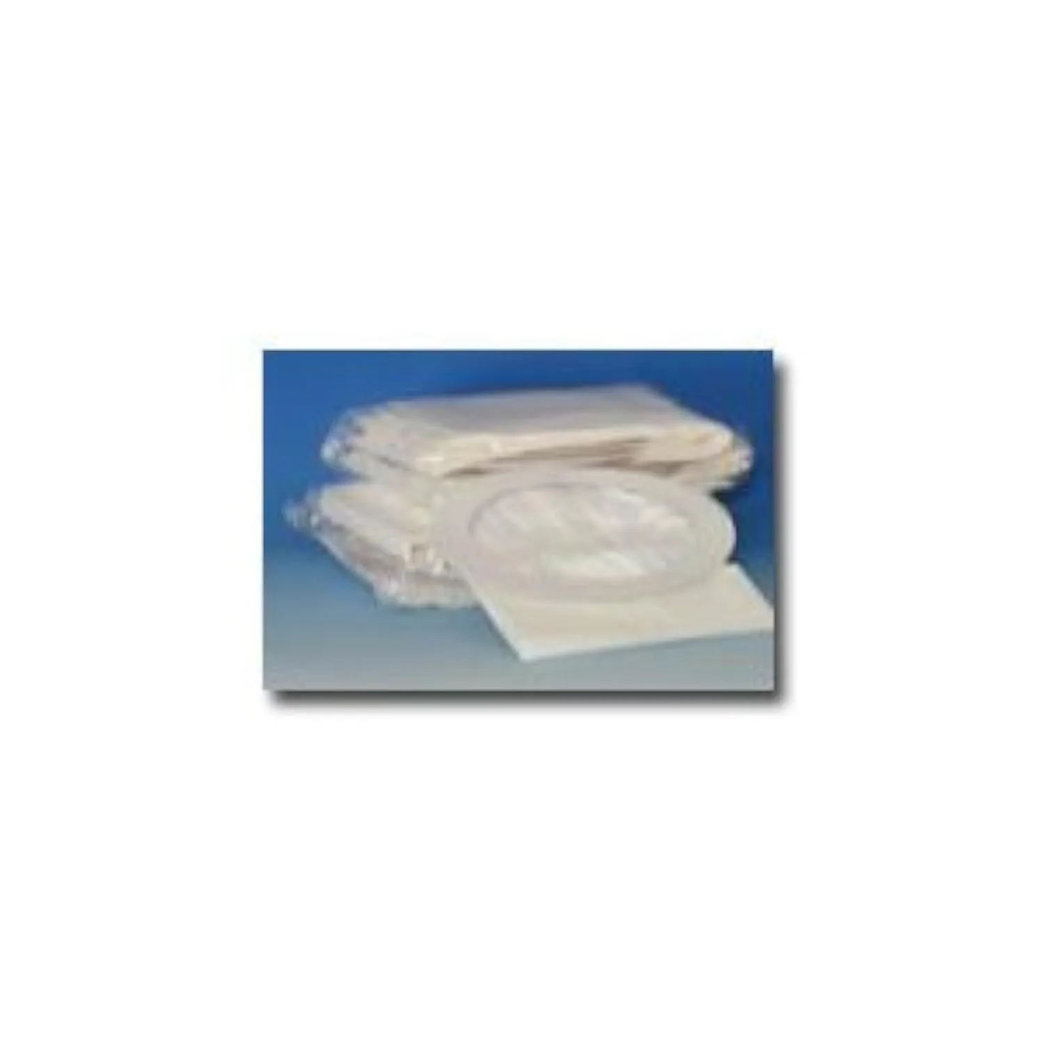 Sandia 10-0006 Vacuum Micro-Lined Filter Bag for Raven, Backpack Vacuum, 10 Quart (Pack of 10)