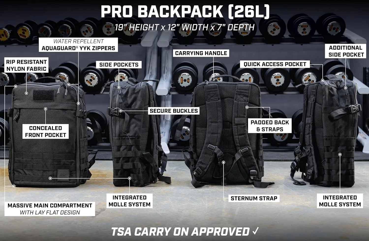 SERIOUS STEEL FITNESS Gym Bag, Rip-Resistant Fabric, Heavy Duty (Black, Backpack (Pro-Mini (26L) with Dividers))