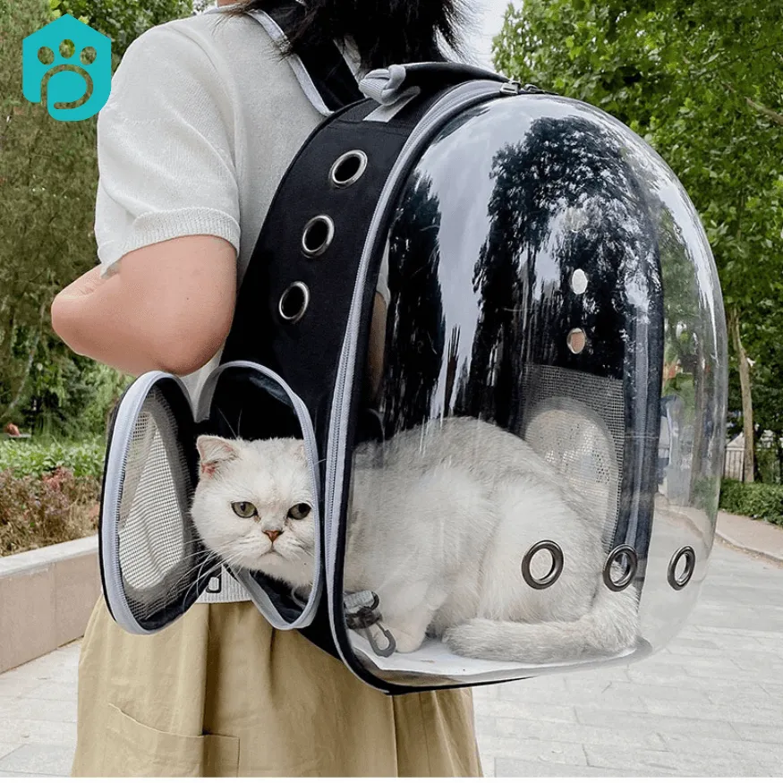 Space Pet Backpack - Breathable and Portable Cat Carrying Bag
