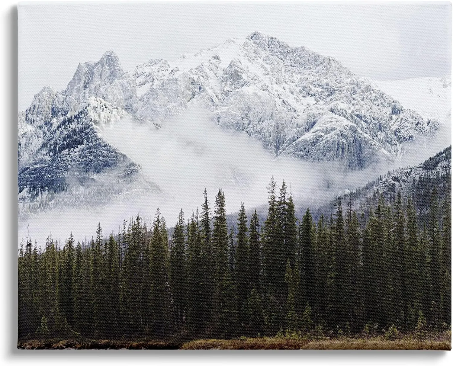 Stupell Industries Snowy Mountain Top Tall Fir Trees Modern Photography Canvas Wall Art, 40 x 30, Off- White