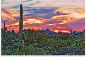 Sunrise in Desert Print Sonoran Desert on Canvas Blooming Saguaros Wall Art Arizona Desert Poster Panorama Arizona on Canvas Saguaros Poster Canvas Art And Wall Art Picture Print Modern Family Bedroom