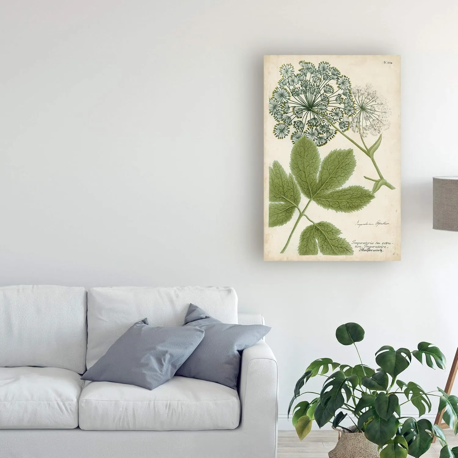 Trademark Fine Art, 16x24 Queen Annes Lace Green by Weinmann