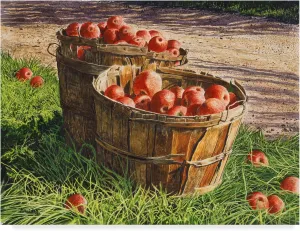Trademark Fine Art, 35x47-Inch Apple Bushels by Michael Davidoff