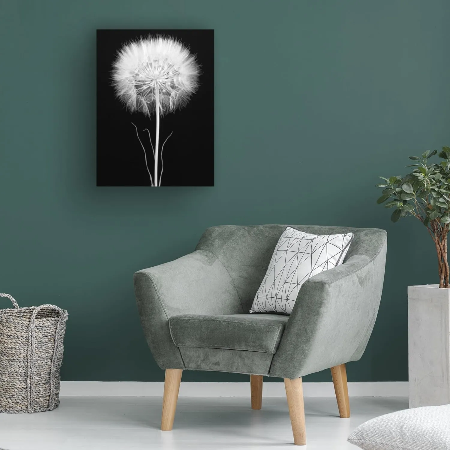 Trademark Fine Art Canvas Wall Art - Berry Rosenthal 'Salsify' Wall Art for Living Room, Bedroom, or Office Décor