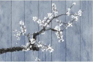 Trademark Fine Art Canvas Wall Art - Sasha 'Wedgewood and Blossoms' Wall Art for Living Room, Bedroom, or Office Décor