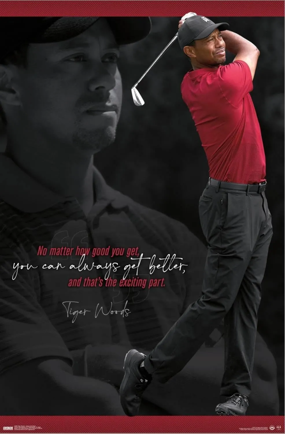 Trends International Tiger Woods - Always Get Better Wall Poster, 14.72" x 22.37", Stretched Canvas