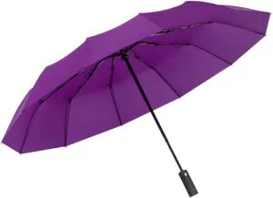 Windproof Travel Umbrella - Automatic, Strong Steel Shaft, Folding and Portable - Backpack, Car, Purse Umbrellas for Rain
